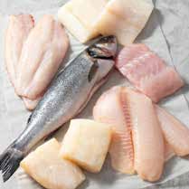 Fresh Fish & Seafood